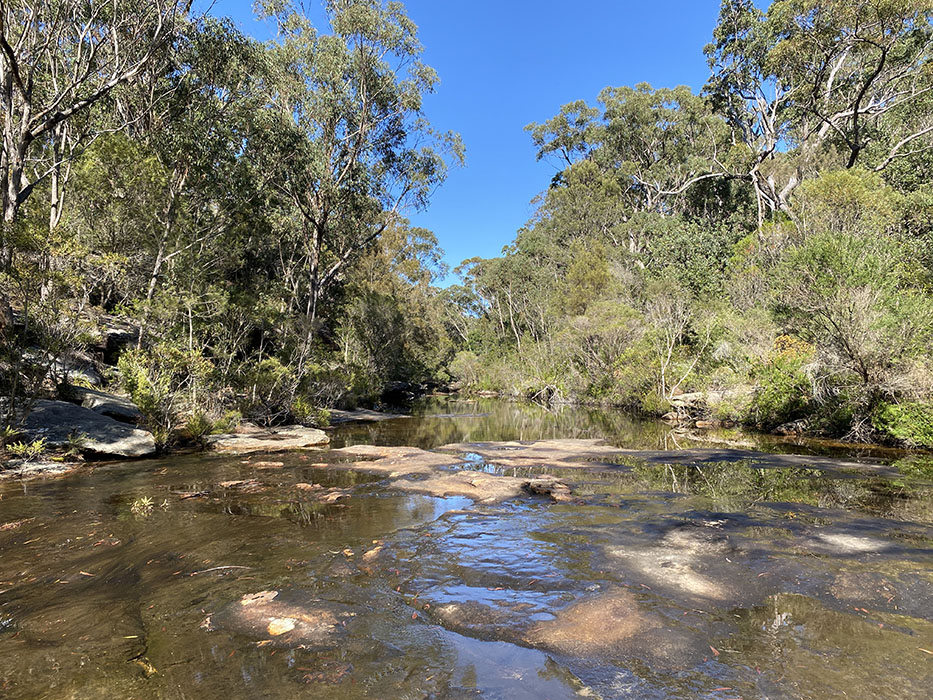 Hike From Heathcote Train Station To Karloo Pools 